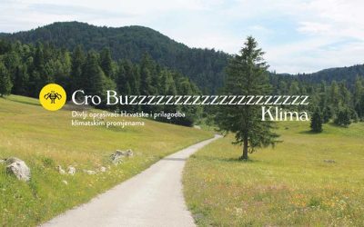 Cro Buzz Klima: logo i web!
